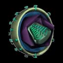 Geovax Labs Inc logo