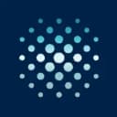 Rare Earths Americas Inc logo