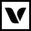 Veri Medtech Holdings Inc logo