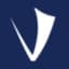 Viking Acquisition Corp Ii logo