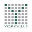 Yorkville International Capital Corp logo